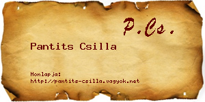 Pantits Csilla névjegykártya